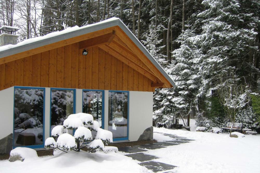 Bio-Ferienhaus-Eifel Rott  Екстер'єр фото
